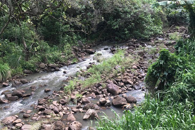 North Shore / Waimea, Falls Day & Swim with Turtles - Price and Value: What $150 Buys You (and What It Doesn’t)