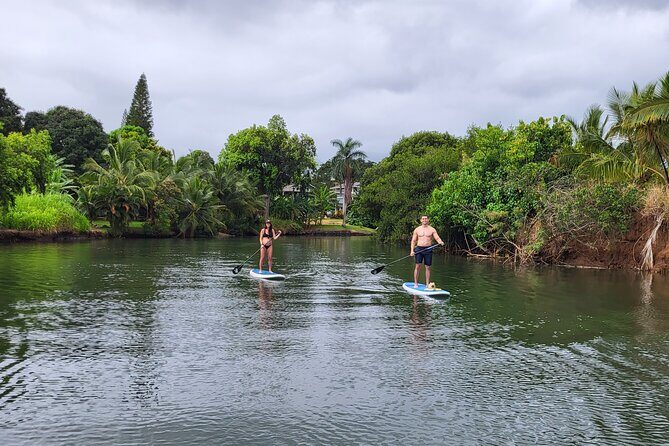 Northshore ocean adventure and circle islandJeep Tour- Guaranteed to see turtles - Halona Blowhole and Makapu‘u Point: volcanic plumbing and postcard coastline views