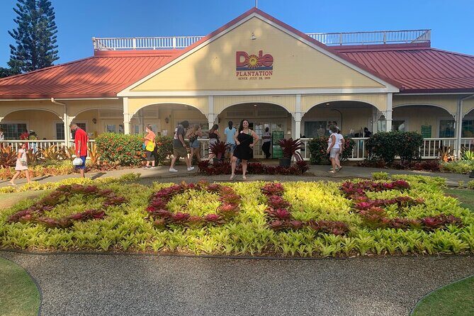 Oahu Allstar Circle Island Tour: Dole, Turtles, Blowhole, Fun - Waimanalo to the Mac Nut Farm Outlet: Shave Ice, Restrooms, and Tastings