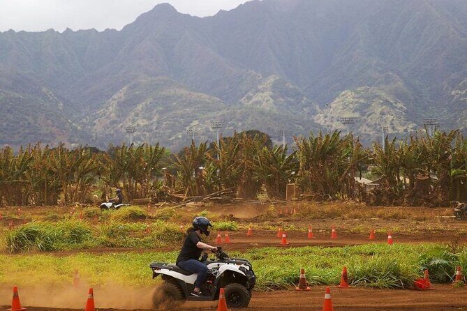 Oahu Beachfront ATV Adventure and Farm Tour - Planting day: choose your native shoreline plant and put it in the ground