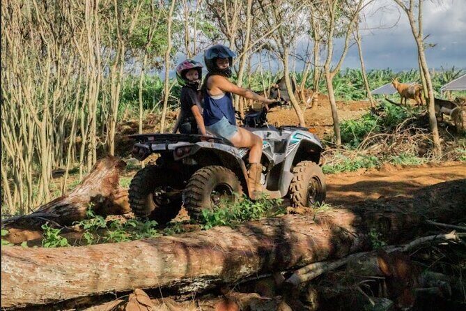 Oahu Beachfront ATV Adventure and Farm Tour - The farm side: animal ohana and feeding time