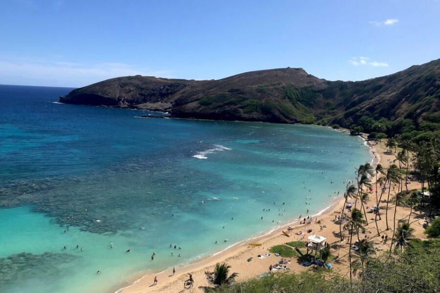 Oahu: Beauty and the Feast Circle Island Experience - Pickup in Waikiki: start early, then settle in