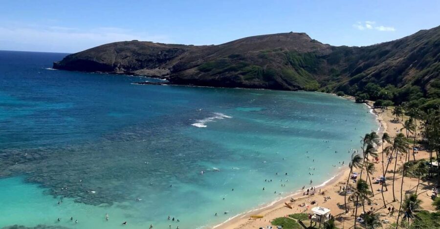 Oahu: Beauty and the Feast Circle Island Experience - Macadamia Farms, fruit stands, and temple time (plus a nature break)