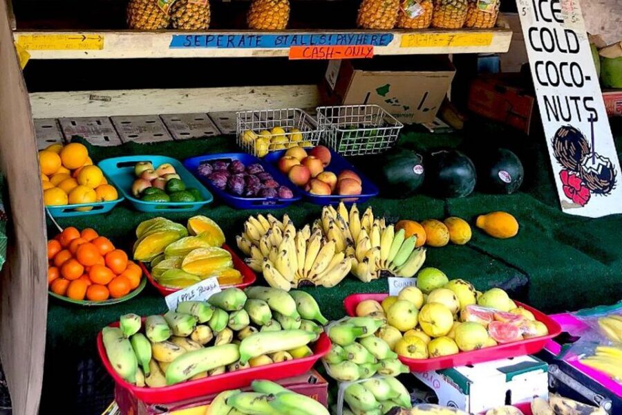 Oahu: Beauty and the Feast Circle Island Experience - Morning photo stops: Halona, Hanauma Bay, and Nuuanu Pali