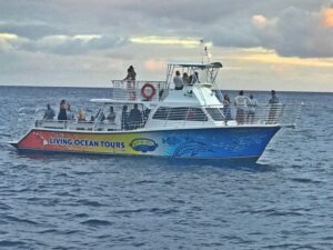 Oahu: BYOB or Cash Bar Waikiki Sunset Cruise - BYOB vs cash bar: choose the vibe that fits your group