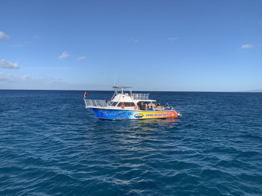 Oahu: BYOB or Cash Bar Waikiki Sunset Cruise - The 1.5-hour cruise: what happens as Waikiki fades to night