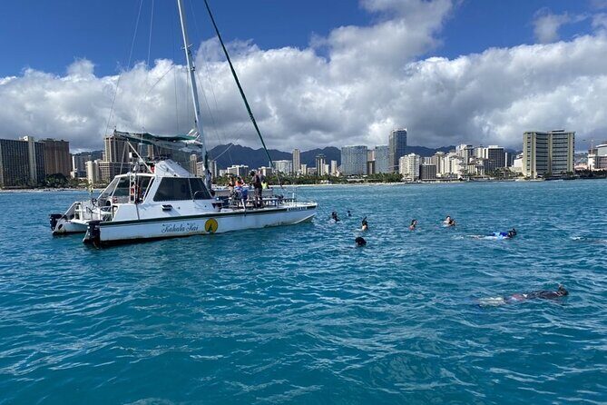 Oahu Catamaran Snorkel Tour: See Turtles 100% Guaranteed - Getting there: Ala Moana Pier A makes check-in easy