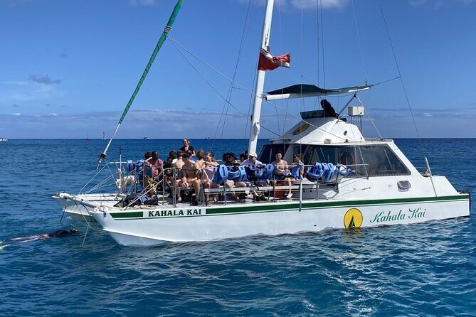 Oahu Catamaran Snorkel Tour: See Turtles 100% Guaranteed - Snorkeling gear + a guide team built for real swimmers and first-timers