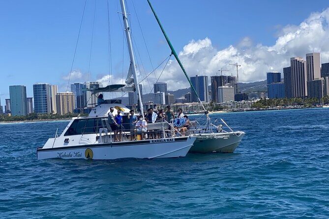 Oahu Catamaran Snorkel Tour: See Turtles 100% Guaranteed - The 100% turtle sighting guarantee: how to make it work in your favor