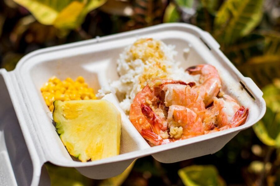 Oahu: Circle Island Day Trip with Shrimp Plate Lunch - Halona Blowhole and Makapu’u Lookout: The Ocean Show You Came For