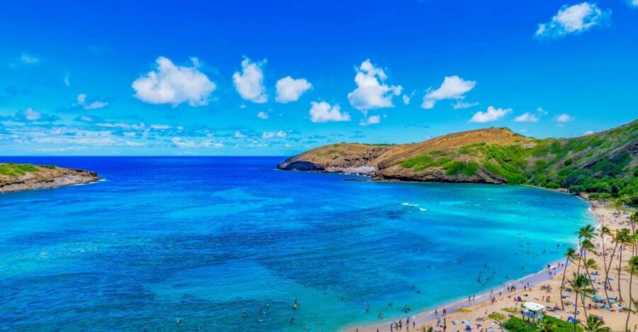 Oahu: Circle Island Top Sights Full-Day Tour w/ Local Guide - A full circle island day without car stress (pickup to drop-off)