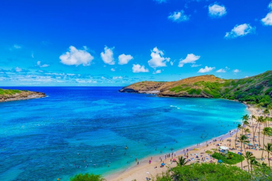 Oahu: Circle Island Top Sights Full-Day Tour w/ Local Guide - Nu‘uanu Pali Lookout: where the unification story becomes real