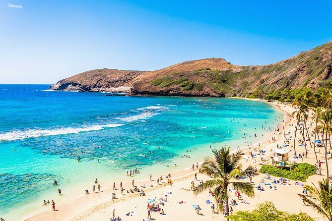 Oahu Circle Island Tour - North Shore Without a Rental Car: How This Circle Island Day Works