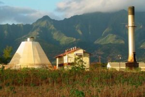 Oahu Circle Island Tour - Tropical Farms Macadamia Stop: Free Samples and the Fun of Cracking Nuts