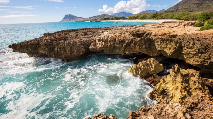 Oahu Circle Island Tour - Best Spots & Beaches - North Shore Beaches: From Sandy Swells to Laniakea Wildlife Viewing