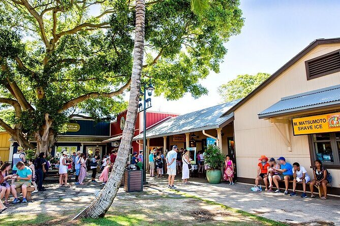 Oahu Circle Island Tour with Byodo-In Temple Admission - Halona Blowhole and Sandy Beach: Quick Nature Stops That Matter