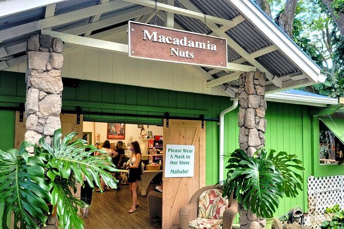 Oahu Circle Island Tour with Byodo-In Temple Admission - Kahuku Garlic Shrimp Plate and the North Shore Surf Scene