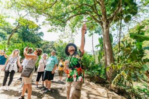 Oahu: Circle Island Tour with Lunch & Waimea Waterfall - Diamond Head Outer Slopes and Halona Blowhole: Classic Oahu in Small Doses