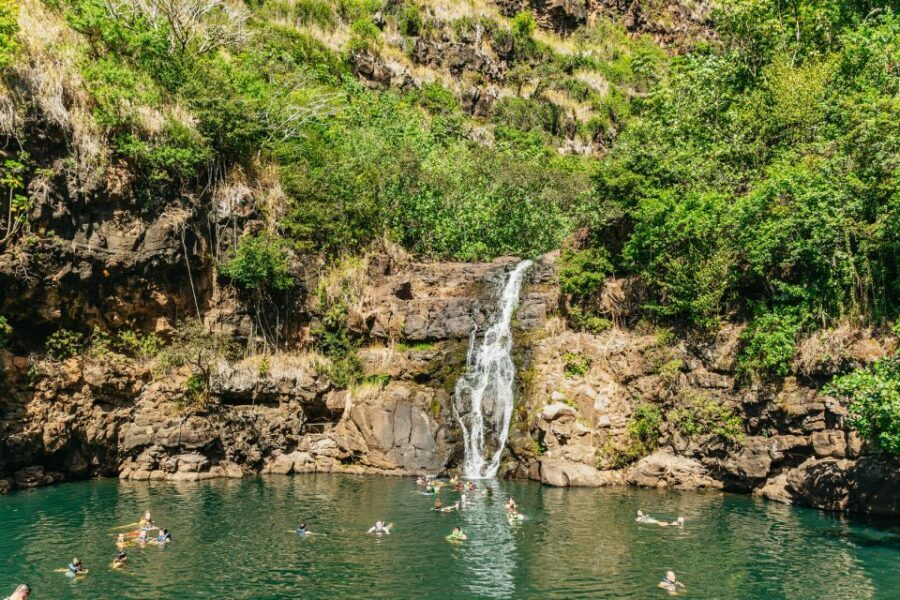 Oahu: Circle Island Tour with Lunch & Waimea Waterfall - Haleiwa on Your Own Time and Matsumoto’s Shave Ice