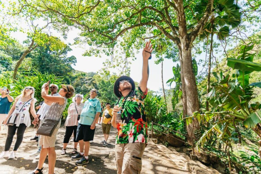 Oahu: Circle Island Tour with Lunch & Waimea Waterfall - Diamond Head Outer Slopes and Halona Blowhole: Classic Oahu in Small Doses