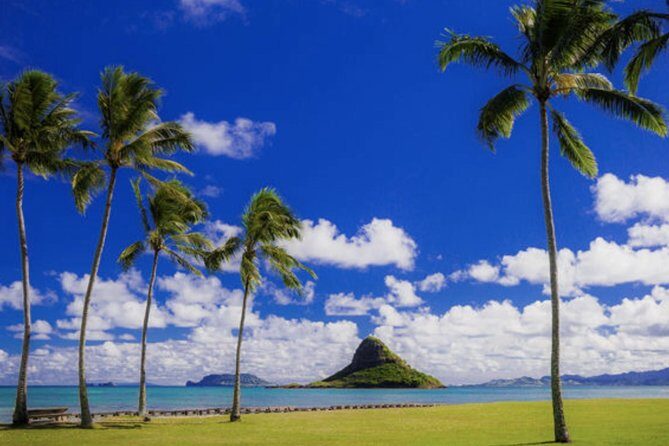 Oahu Circle Island Tour with Waimea Waterfall - Halona Blowhole to Waimanalo: surf eruptions and film-stops