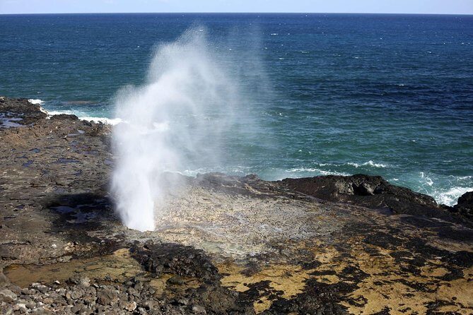 Oahu Circle Island Tour with Waimea Waterfall - Coffee, macadamias, and Jurassic Valley vibes