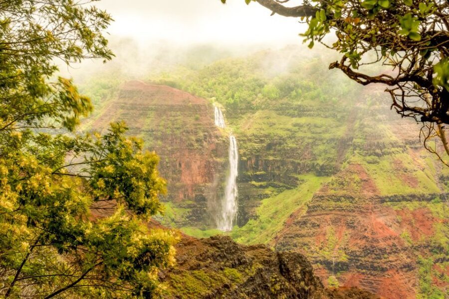 Oahu: Complete Island Tour with Tropical Waterfall Swimming - Waikiki pickup and the small-van rhythm