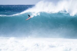 Oahu: Complete Island Tour with Tropical Waterfall Swimming - Coffee farm to North Shore: surf legends and quick wildlife odds