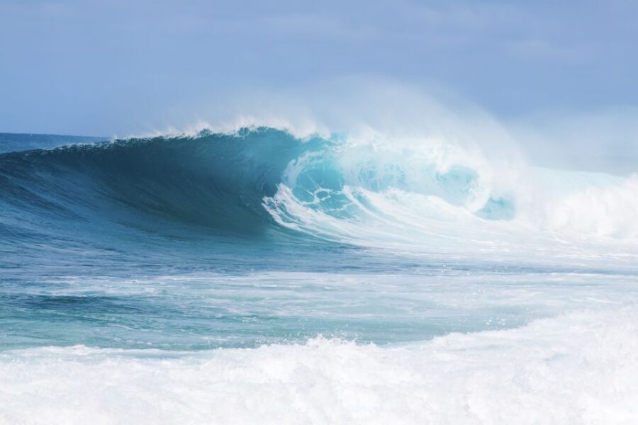 Oahu: Complete Island Tour with Tropical Waterfall Swimming - Waimea Valley and Waimea Falls: where the day earns its name