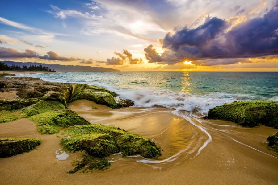 Oahu: Complete Island Tour with Tropical Waterfall Swimming - Byodo-In Temple: quiet time under the Koʻolau