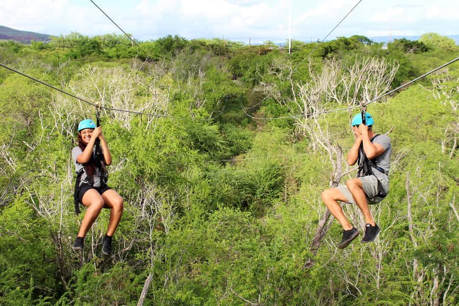 Oahu: Coral Crater Zipline Tour - Check-In: Where Safety Basics Get Real