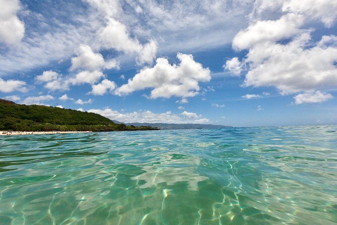 Oahu Custom Private Circle Island and Mini Circle Island Tours - Hālona Blowhole and Nuʻuanu Pali: fast stops with strong payoff