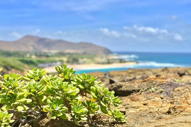 Oahu Custom Private Circle Island and Mini Circle Island Tours - Route logic: how the day flows around the island