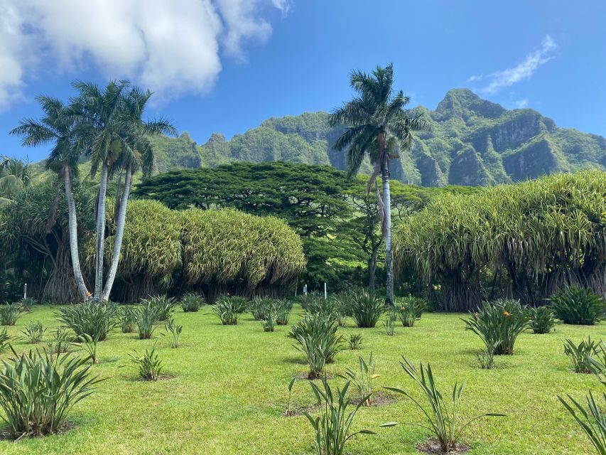 Oahu: Diamond Head Crater Hike and North Shore Experience - Kahuku Sugar Mill Food Trucks and the macadamia tasting moment