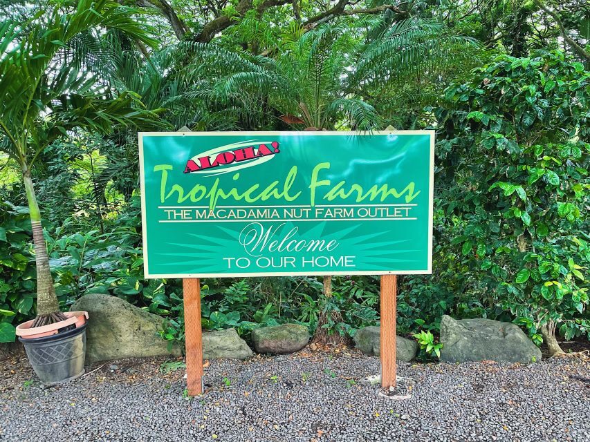 Oahu: Diamond Head Crater Hike and North Shore Experience - North Shore beaches: Sunset Beach might be traffic dependent