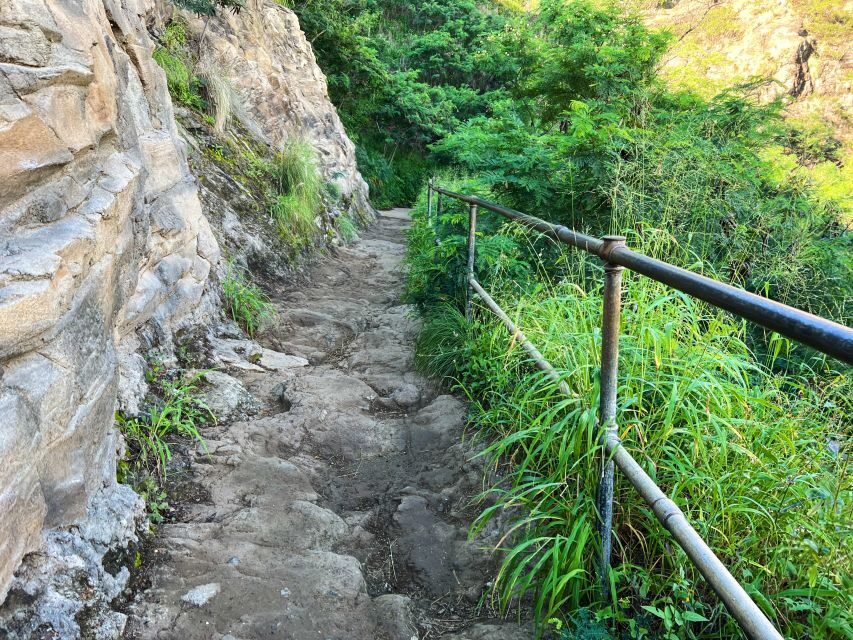 Oahu: Diamond Head Crater Trailhead Transfer & Entry Fee - Who Should Book This Early-Morning Diamond Head Plan