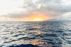 Oahu: Diamond Head Cruise with Drinks & Appetizers - The Honu Lani Ride: What the First Minutes Feel Like