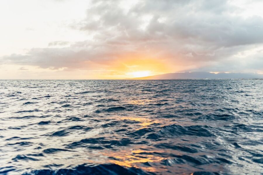 Oahu: Diamond Head Cruise with Drinks & Appetizers - The Honu Lani Ride: What the First Minutes Feel Like