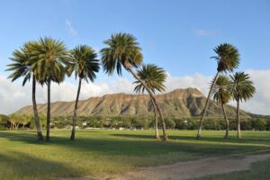 Oahu: Diamond Head Hike with Roundtrip Transportation - From Waikiki pickup to the trailhead: how you’ll move around