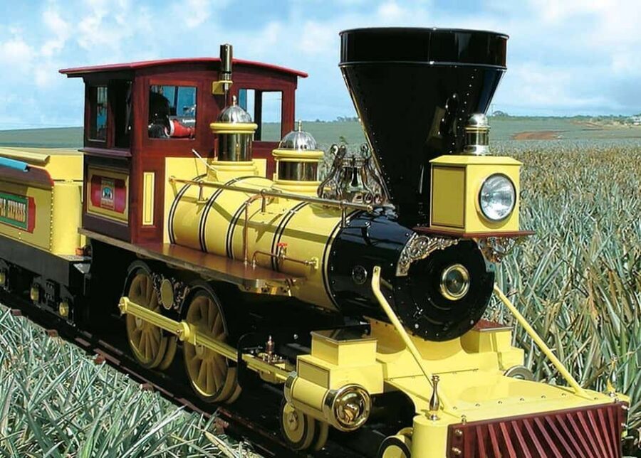Oahu: Dole Plantation & Haleiwa Express Deluxe Tour - From Waikiki pickup to the North Shore: why the “Deluxe” coach matters