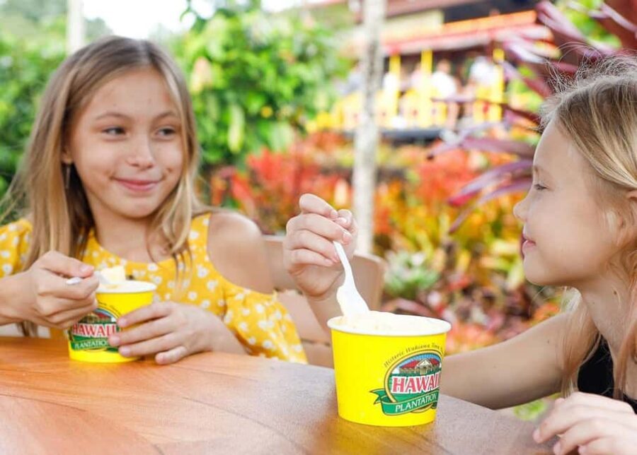 Oahu: Dole Plantation & Haleiwa Express Deluxe Tour - Haleiwa’s 2 hours: surf-town walking, lunch, and shopping that’s actually fun