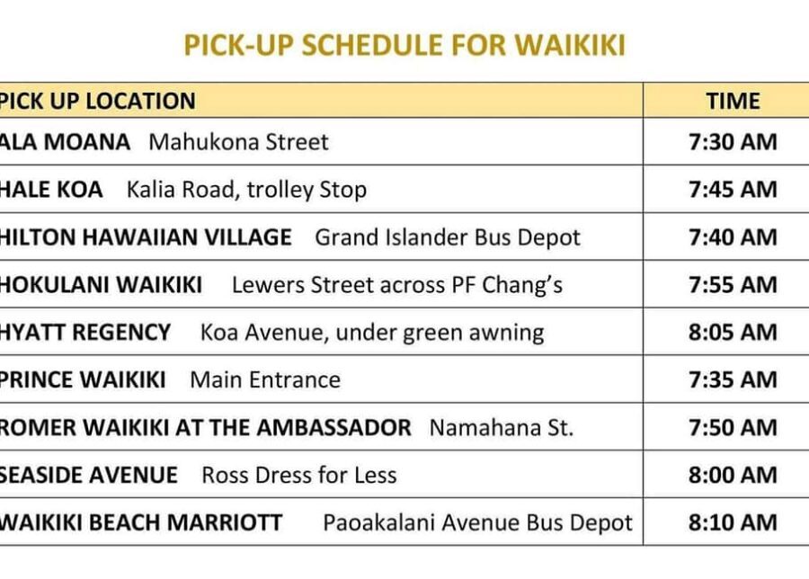 Oahu: Dole Plantation & Haleiwa Express Deluxe Tour - Who this tour fits best (and who should reconsider)