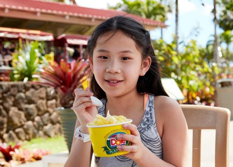 Oahu: Dole Plantation & Haleiwa Express Deluxe Tour - Quick tips before you go