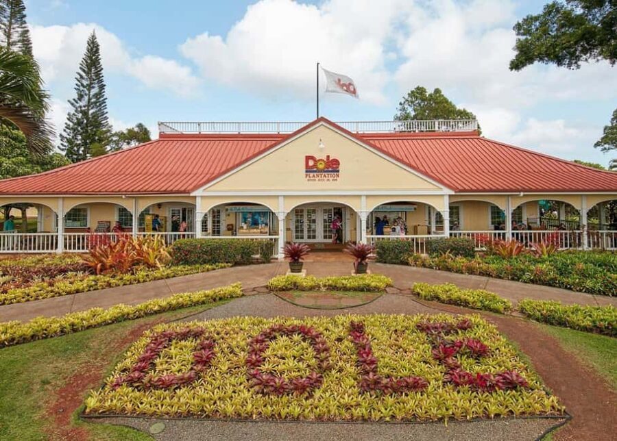 Oahu: Dole Plantation & Haleiwa Express Deluxe Tour - Dole Plantation in 90 minutes: train, garden tour, and the pineapple maze