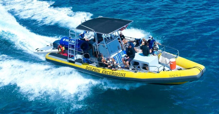 Oahu: Dolphin Swim and Turtle Snorkel Excursion in Waianae - The safety briefing: where the day actually becomes smoother