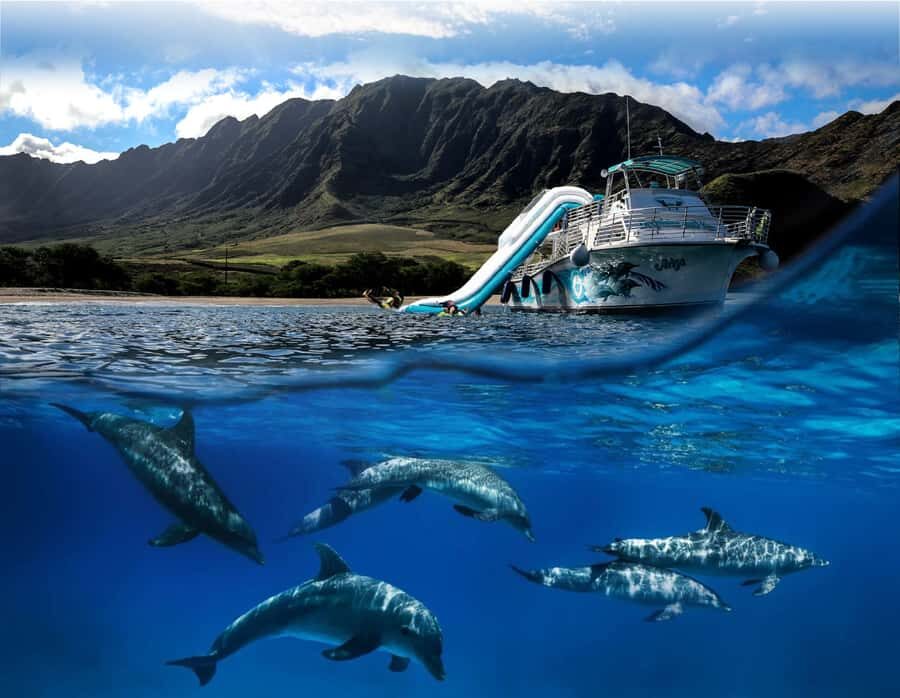 Oahu: Dolphin Watching & Turtle Snorkeling with Waterslide - Key things that make this tour worth your time