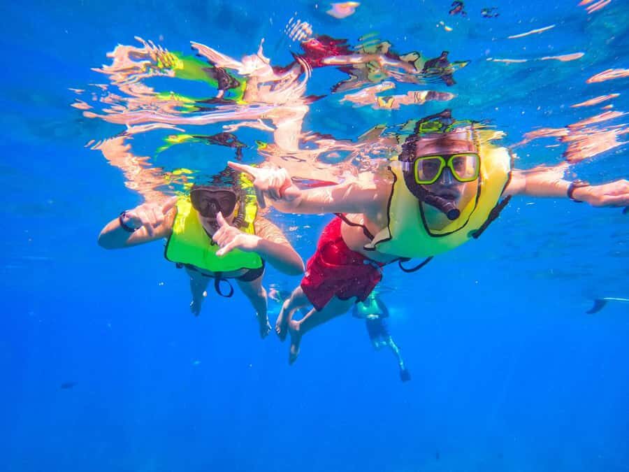 Oahu: Dolphin Watching & Turtle Snorkeling with Waterslide - Lunch with ocean views and live hula: the Hawaiian finish that feels earned