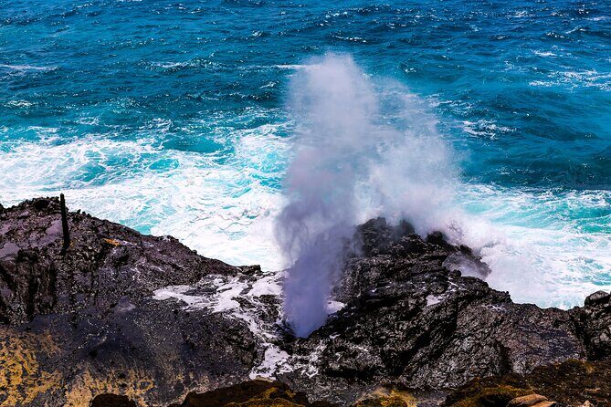 Oahu Grand Circle Island and Haleiwa Tour: 9-Hr Deluxe Experience - Tropical Farms Macadamia Stop: Coffee and Snack Time with Real Flavor