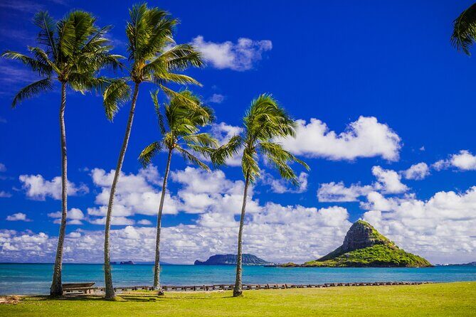 Oahu Grand Circle Island and Haleiwa Tour: 9-Hr Deluxe Experience - Haleiwa Time on the North Shore: Lunch, Shopping, and People-Watching