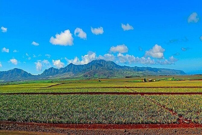 Oahu Grand Circle Island Experience from Waikiki - Haleiwa town and Dole Plantation: quick hits, not half-day adventures